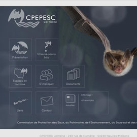 www.cpepesc-lorraine.fr