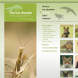 www.florentrondel.com